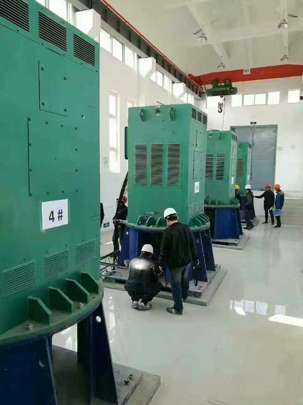 临武某污水处理厂使用我厂的立式高压电机安装现场